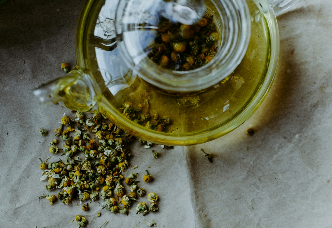 The Ultimate Science-Based Guide to How Chamomile Improves Gut Health
